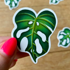 monstera leaf sticker
