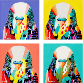 set of four canvas prints with colorful budgie iluustrations