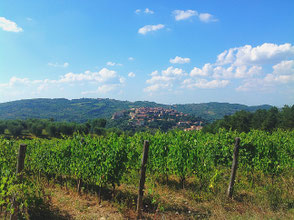Monte Amiata, Toscana, Italia. Montecucco, Itinerari di vino. Blog Etesiaca