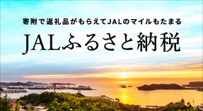 北海道　ふるさと納税