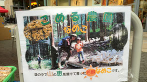 こめる農園∞こめる食堂の大島孝仁さんと、誠子さん。この日完売の、こめる農園の「なめこ」。