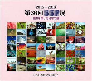 2015-2016 第36回SSP展図録