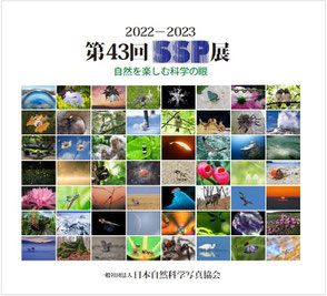 2022-2023 第43回SSP展図録