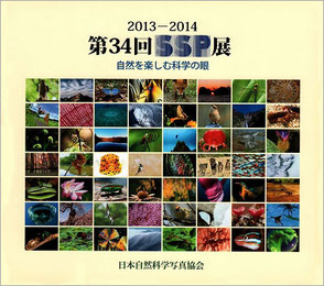 2013-2014 第34回SSP展図録