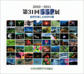 2010-2011 第31回SSP展図録