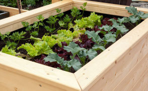 Hochbeete aus Holz und Gewächshäuser aus Holz © CASA VARIO GmbH - Holzhäuser und Individuelles aus Holz 