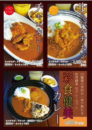 チキンカレー／まろやかチキンカレー／彩食健美カレー