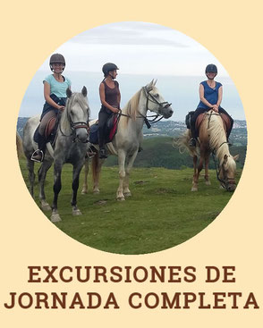 Excursiones de jornada completa