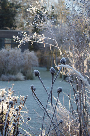 dieartigeGARDEN // Design Studio - Raureif im Wintergarten