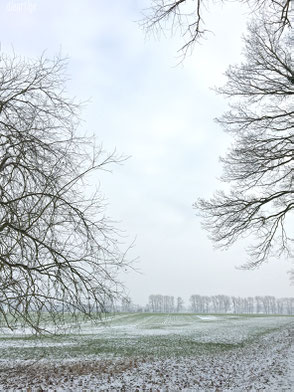 dieartige - Inspiration | Wintermoods, Winter-Landschaft, Feld