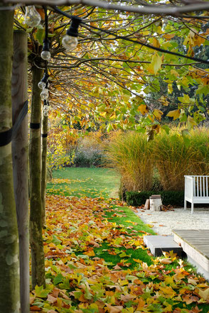 dieartigeGARDEN -Platanenlaub im Herbst, Garten, Gräser, Terrasse