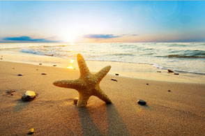 Last Minute Angebote nach Barbados