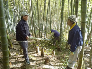 枝の処理もきっちり行います