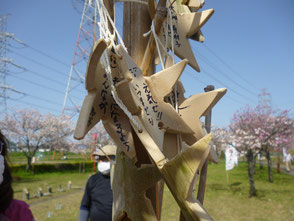 すでに沢山の星がかかっていました