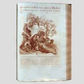 Ridinger - Das in seiner grosen Mannifgfaltikeit und in seinen schönen Farben nach Originalzeichnungen geschilderte Thierreich