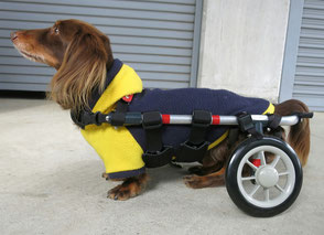 犬の車椅子　犬用車椅子　犬の車いす　犬用車いす　ドッグカート　歩行器　犬　車椅子　車いす　車イス