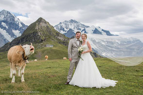Berghochzeit mit Brautpaar neben einer Kuh auf dem Männlichen 