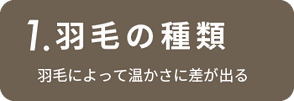 羽毛の種類　羽毛によって暖かさに差がでる