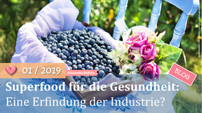 Blog; Superfood; Darmkur; Entgiftung; Darmsanierung; Darmaufbau; Darmgesundheit; Naturheilkunde