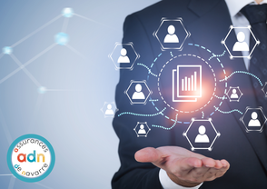 Assurance flotte camionnette