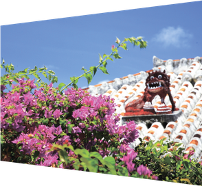 沖縄シーサーのいる風景