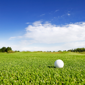 Balle de golf sur un terrain de golf