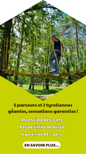 Accrobranche étang de la vallée à Combreux