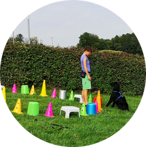 Hundeschule DreamTeam Obedience Unterordnung