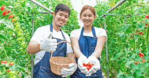農家の婚活