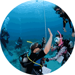 instructor development course