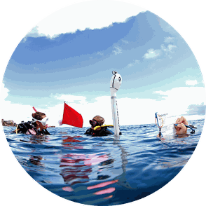 Padi staff instructor