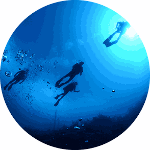 Guided dives curacao