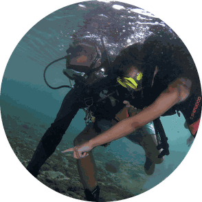 Introduction dive curacao