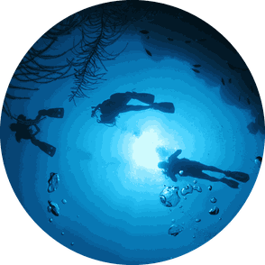 Guiding Dives