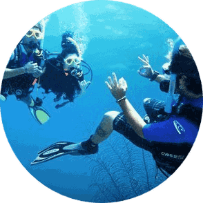 Divemaster course