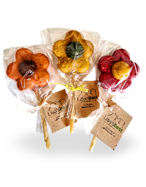 Lolli Blume
