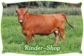 Rinder-Shop | Mein BioRind