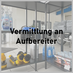 Proshine Autopflege Aufbereiter
