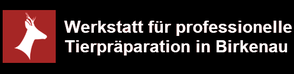 Logo mit Text Werkstatt für professionelle Tierpäparation Birkenau / Odenwald auf der Homepage: https://www.praeparationswerkstatt-bette.de/