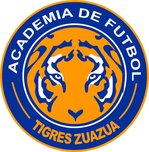 Página web de academiatigreszuazua