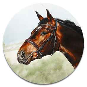 Pferd malen zeichnen lassen. Pferdeportrait