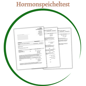 Speicheltest Nebenniere Hormone bei Heilpraktikerin Lena Brauer in München