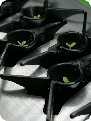 sinterra anzuchtgsystem anzuchthilfe ohne substrat nur wasser hydroponisch aquaponik salat anbauen selber machen diy wiederverwendbar 