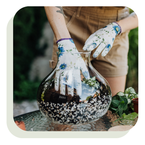 atelier terrarium DIY en entreprise pour créer un mini jardin végétal et partager un moment créatif