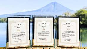 伊藤大輔,紺綬褒章,