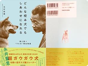 どんな咬み犬でも しあわせになれる 岡山県瀬戸内市 西大寺駅近くの貸切ドッグラン せとうちドッグ パーク 一般社団法人せとうち保護犬猫の里 保護犬 保護猫譲渡会毎週開催中 どんな咬み犬でも しあわせになれる 岡山県瀬戸内市 西大寺駅近くの貸切ドッグラン せとうちドッグ パーク 一般社団法人せとうち保護犬猫の里 保護犬 保護猫譲渡会毎週開催中