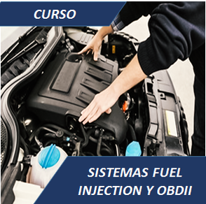Curso dual sistemas fuel injection y normal obd2