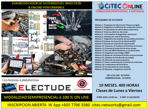 Técnico online fuel injection
