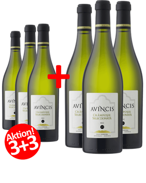 6-er Weinpaket AVINCIS Cramposie Selectionata 2017 - 3+3 Flaschen geschenkt Gratisaktion