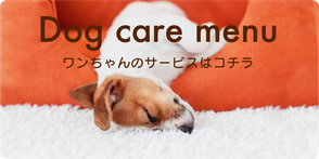 ペットシッター　福岡　犬　イヌ　ワンちゃん